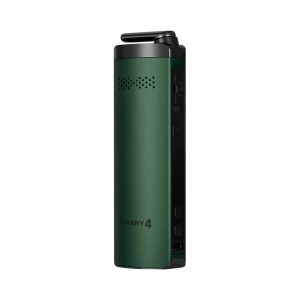 XMAX STARRY 4  -  EVERGREEN