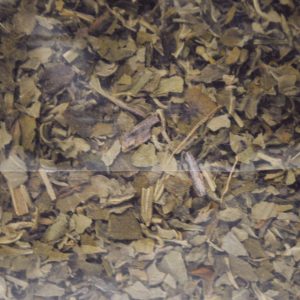 Catnip 25g