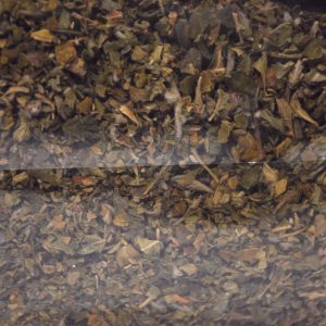 Damiana 25g