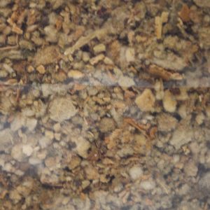 Mullein 25g