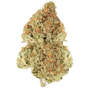 Alternative view of Flores CBD OG Kush 5gr – Greeneo