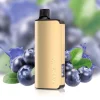 Alibarbar Ingot 9000 Blueberry Mint - Premium vape shop Au